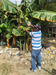 7d16a244-68a7-481c-ae8a-00dd75721143